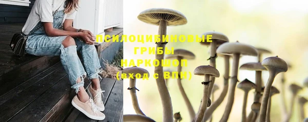 СК Арсеньев