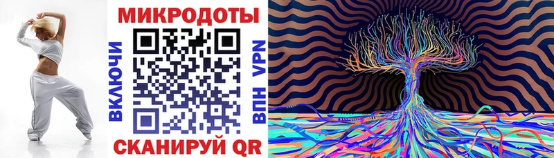 Галлюциногенные грибы Cubensis Чаплыгин
